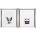 Fox Racoon S/2