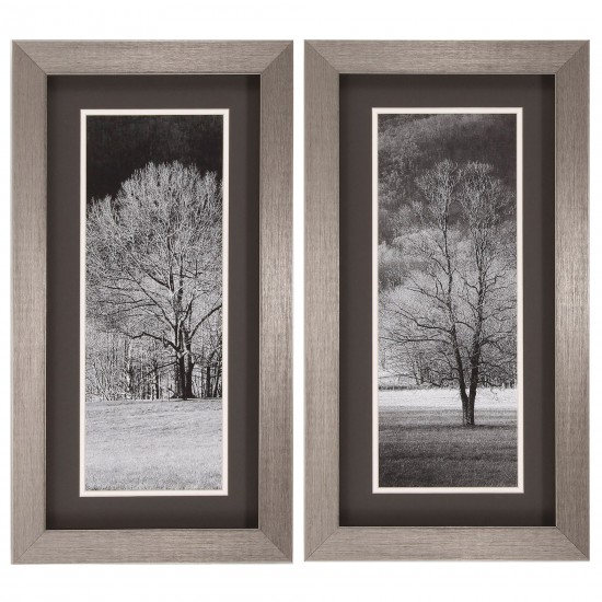 Black & White Trees S/2