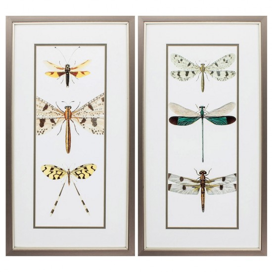 Entomology Series S/2
