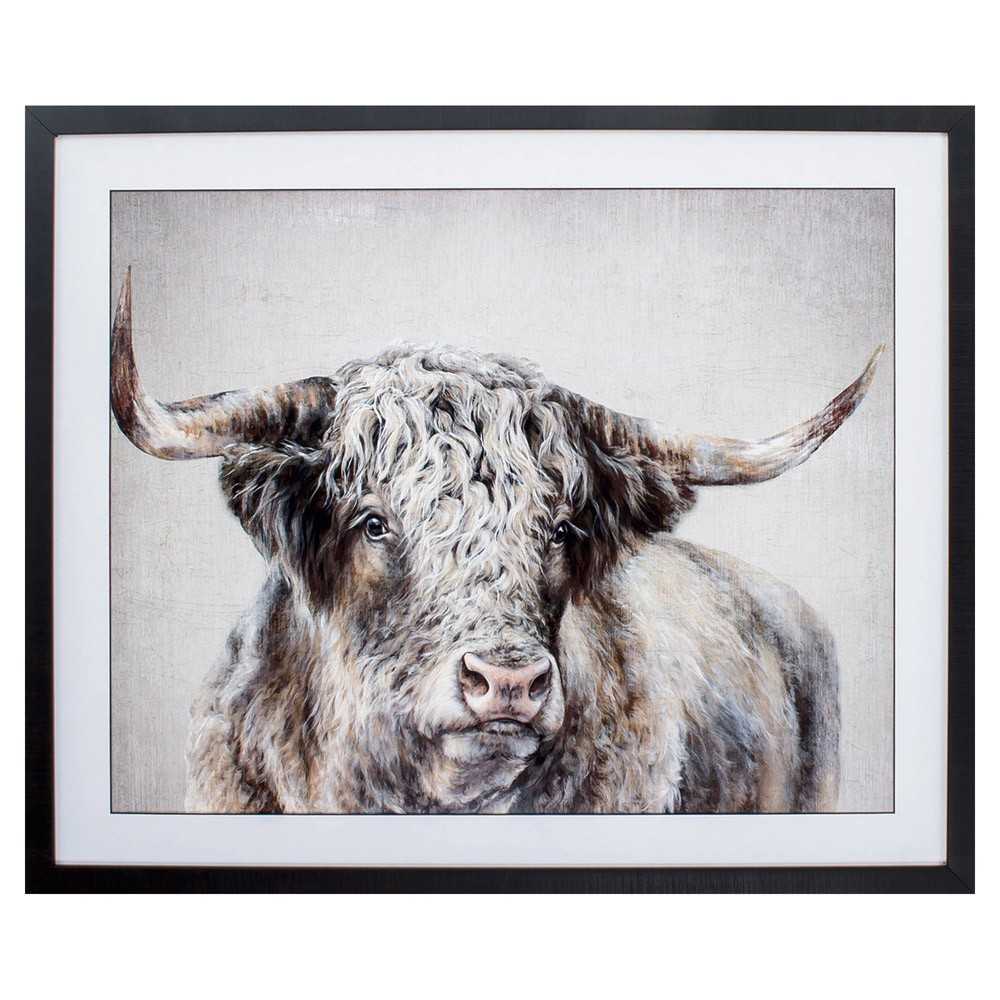 Grand Kyloe Bull Grand Kyloe Bull