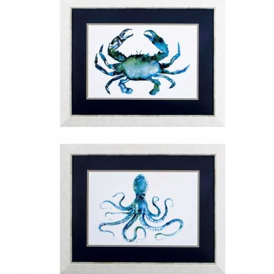 Crab Octopus S/2