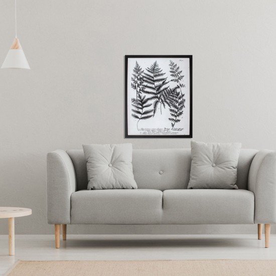 Charcoal Fern Gather II