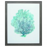 Aqua Coral On White I