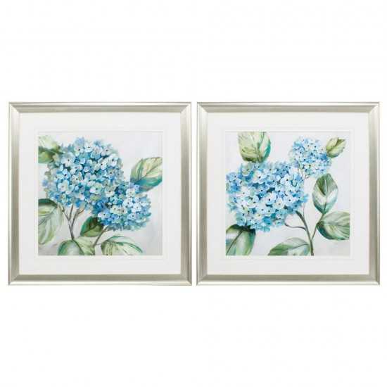 Hydrangea Beauty S/2