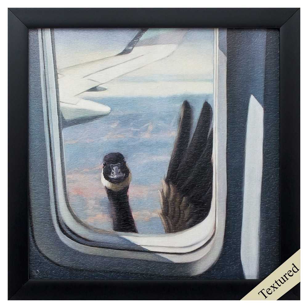 Friendly Skies Friendly Skies