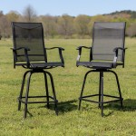 30" All-Weather Patio Swivel Outdoor Stools, Black, Set of 2