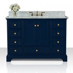 Audrey 48 in. Bath Vanity Set in Heritage Blue