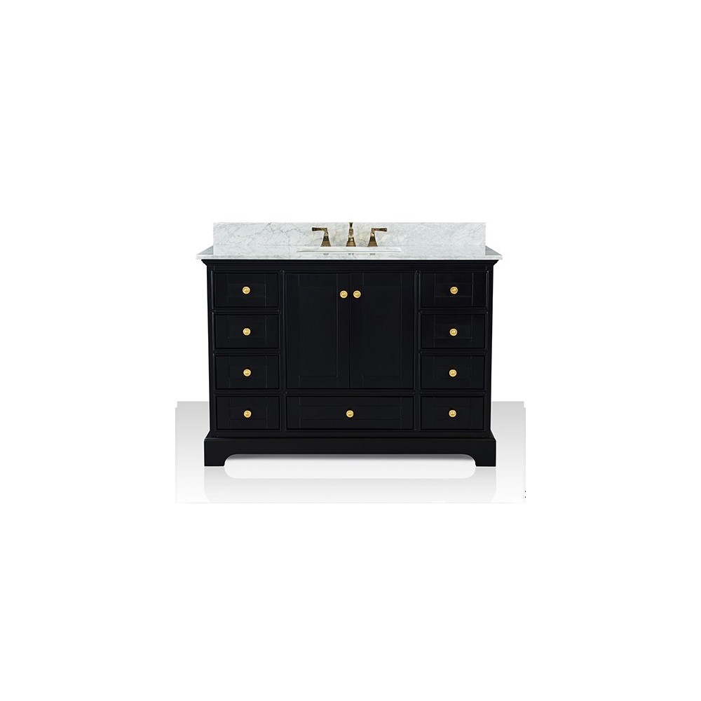 Audrey 48 in. Bath Vanity Set in Onyx Black