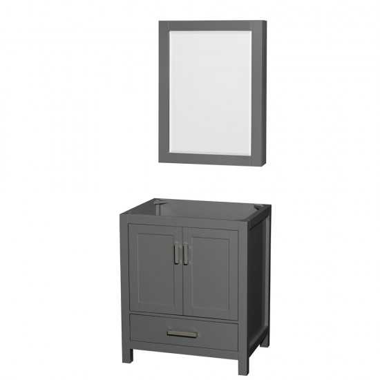 30 Inch Single Bathroom Vanity in Dark Gray, No Countertop, No Sink, Medicine Cabinet