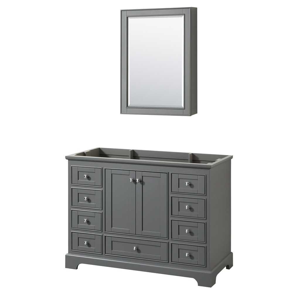 48 Inch Single Bathroom Vanity in Dark Gray, No Countertop, No Sink, Medicine Cabinet