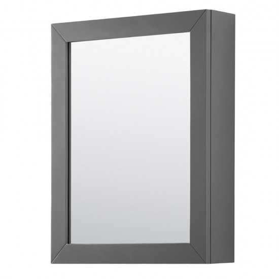 60 Inch Double Bathroom Vanity in Dark Gray, No Countertop, No Sink, Medicine Cabinets