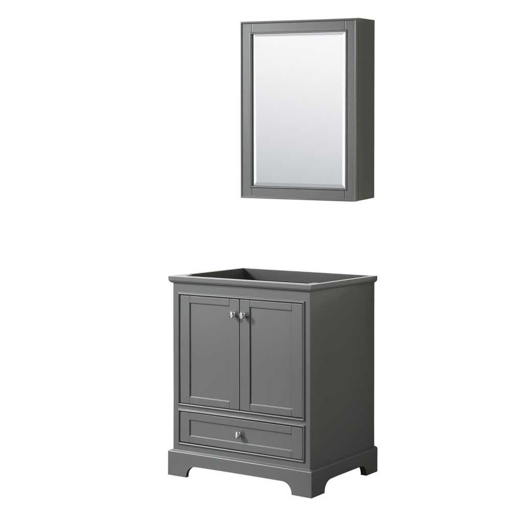 30 Inch Single Bathroom Vanity in Dark Gray, No Countertop, No Sink, Medicine Cabinet