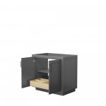 36 Inch Single Bathroom Vanity in Dark Gray, No Countertop, No Sink, Black Trim