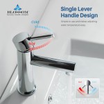 Bath Faucet Single Handle Lavatory Faucet - Chrome