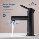 Bath Faucet Single Handle Lavatory Faucet - Matte Black