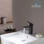 Bath Faucet Single Handle Lavatory Faucet - Matte Black