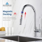 Kitchen Faucet Single Handle Pull Down Kitchen Faucet - Chrome