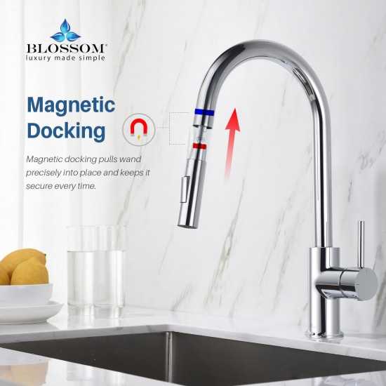 Kitchen Faucet Single Handle Pull Down Kitchen Faucet - Chrome