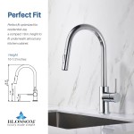 Kitchen Faucet Single Handle Pull Down Kitchen Faucet - Chrome