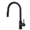 Kitchen Faucet Single Handle Pull Down Kitchen Faucet - Matte Black