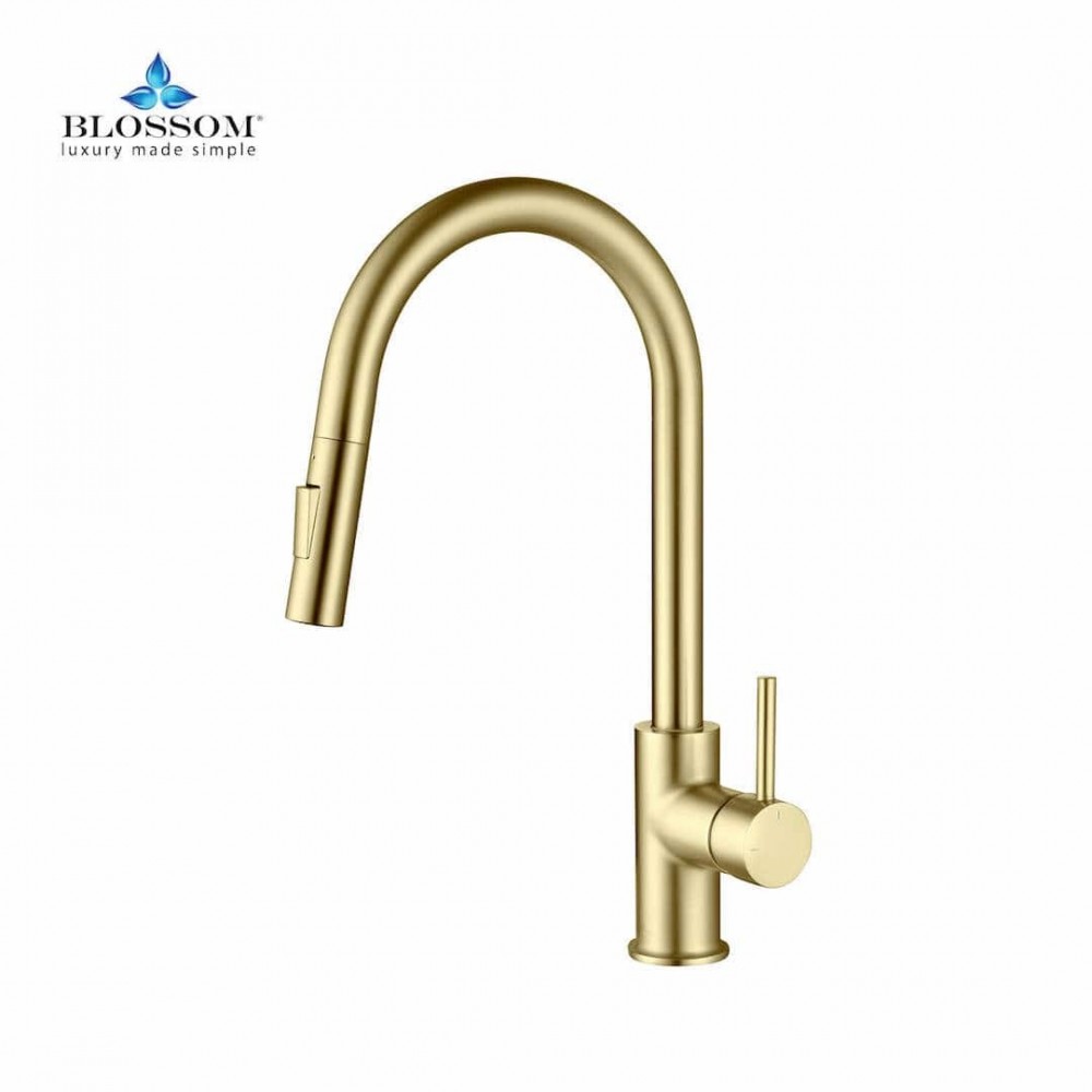 Kitchen Faucet Single Handle Pull Down Kitchen Faucet - Brush Gold