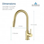 Kitchen Faucet Single Handle Pull Down Kitchen Faucet - Brush Gold