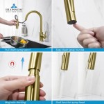 Kitchen Faucet Single Handle Pull Down Kitchen Faucet - Brush Gold