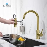 Kitchen Faucet Single Handle Pull Down Kitchen Faucet - Brush Gold