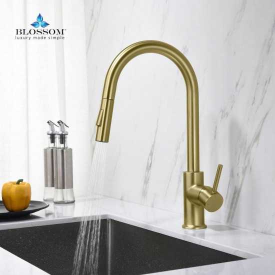 Kitchen Faucet Single Handle Pull Down Kitchen Faucet - Brush Gold