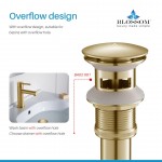 Accessory 1-1/4" Brass Pop up with Overflow -Brush Gold