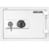 Hollon Gray-White 2 Hour Home Safe, HS-360D