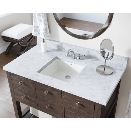 U2230-Bisque Rectangular Porcelain Sink
