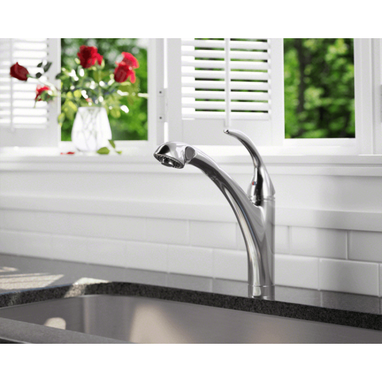 765-C Pull-Out Spray Faucet