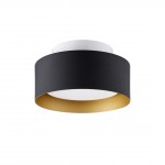 Lynch 10 in. 1-Light Black and Gold Flush Mount Ceiling Fixture