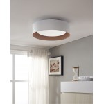 Lynch White and Natural Ceiling Light