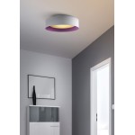 Lynch White & Purple Flush Mount Ceiling Light