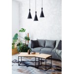 Berkley Black Single Light Pendant B6003