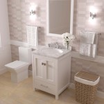 Caroline Avenue 24" Single Bath Vanity in White with White Quartz Top and Round Sink with Matching Mirror