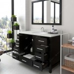 Caroline Avenue 48" Single Bath Vanity in Espresso with White Quartz Top and Round Sink and Matching Mirror
