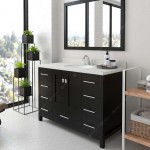 Caroline Avenue 48" Single Bath Vanity in Espresso with White Quartz Top and Round Sink with Brushed Nickel Faucet and Mirror