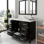 Caroline Avenue 48" Single Bath Vanity in Espresso with White Quartz Top and Square Sink and Matching Mirror