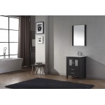 Dior 24" Single Bath Vanity in Zebra Gray and Square Sink and Matching Mirror