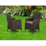 Hluc163S Outdoor-Furniture Wicker Patio Chair In Dark Brown Finish - Set Of 2