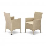 Hvlc153V Outdoor-Furniture Wicker Patio Chair In Cream Finish - Set Of 2